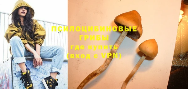 молекула духа Верея
