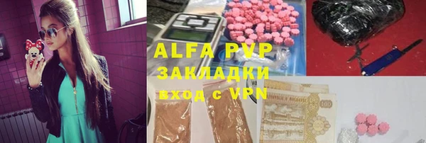 прущие крисы Бородино