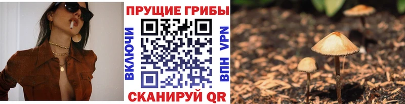 цена наркотик  MEGA ТОР  Псилоцибиновые грибы GOLDEN TEACHER  Ворсма 